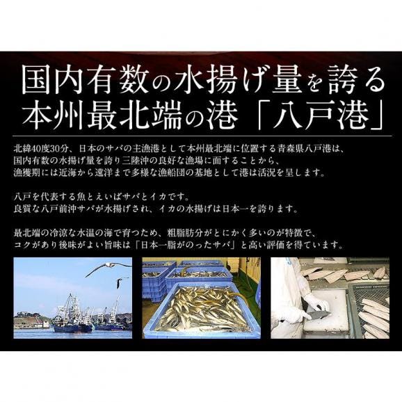 しめ鯖 特大 4L 約180g前後×1枚 しめさば03