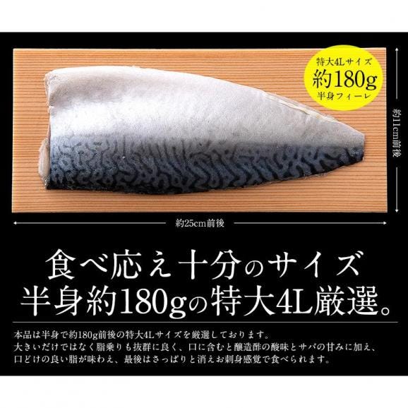 しめ鯖 特大 4L 約180g前後×1枚 しめさば04