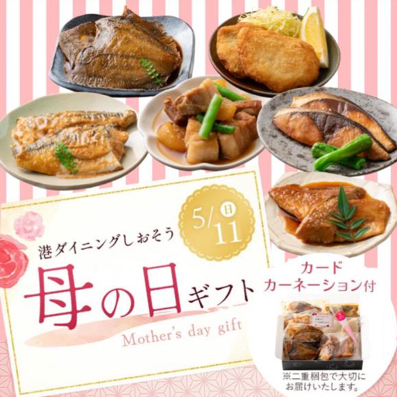 母の日 惣菜セット 手作り 総重量約1kg さば味噌煮 ブリ照り焼き 赤魚煮物　カレイ煮物 アジフライ 豚バラ大根 煮付け 照り焼き 味噌煮 さば03
