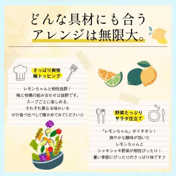 冷やし中華 レモンちゃん さわやかレモンスープ付 6食セット（麺100g スープ60g） 送料無料1,000円ポッキリ05