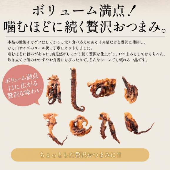 ゲソ燻製 燻製イカ イカ足 180g 送料無料 1,000円ポッキリ 燻製 焼き足ロール ポイント消化 珍味 焼きイカ いか足 イカ おつまみ グルメ 食べ物 つまみ 美味しい 酒の肴 やみつき 低カ03