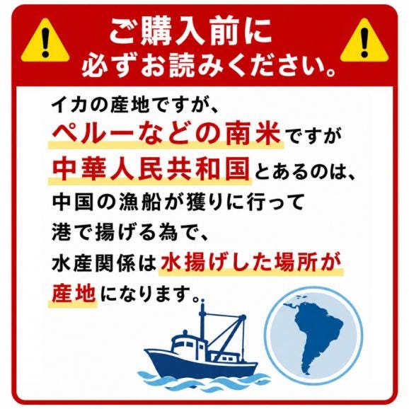 ゲソ燻製 燻製イカ イカ足 180g 送料無料 1,000円ポッキリ 燻製 焼き足ロール ポイント消化 珍味 焼きイカ いか足 イカ おつまみ グルメ 食べ物 つまみ 美味しい 酒の肴 やみつき 低カ06