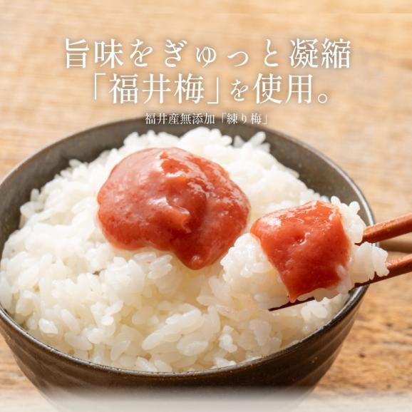 無添加 国産 ねり梅 【しそ葉無しねり梅】140g×2本セット02