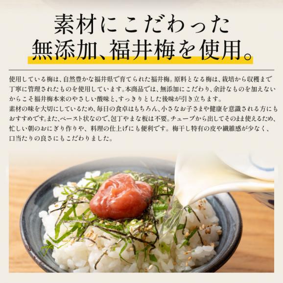 無添加 国産 ねり梅 【しそ葉入りねり梅】140g&times;2本セット03