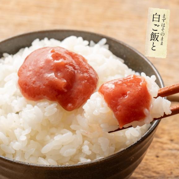 無添加 国産 ねり梅 【しそ葉入りねり梅】140g&times;2本セット06