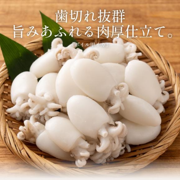 ボイル 甲イカ コウイカ 大容量 480g（240g&times;2P）02