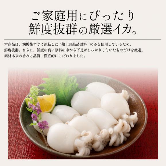 ボイル 甲イカ コウイカ 大容量 480g(240g×2P)04