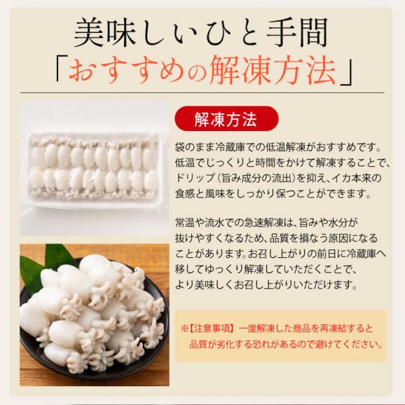 ボイル 甲イカ コウイカ 大容量 480g（240g&times;2P）05