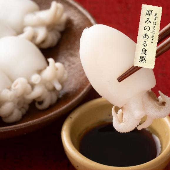 ボイル 甲イカ コウイカ 大容量 480g（240g&times;2P）06