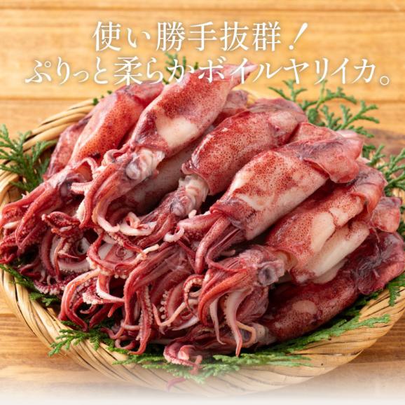 ボイル ヤリイカ 大容量 500g02