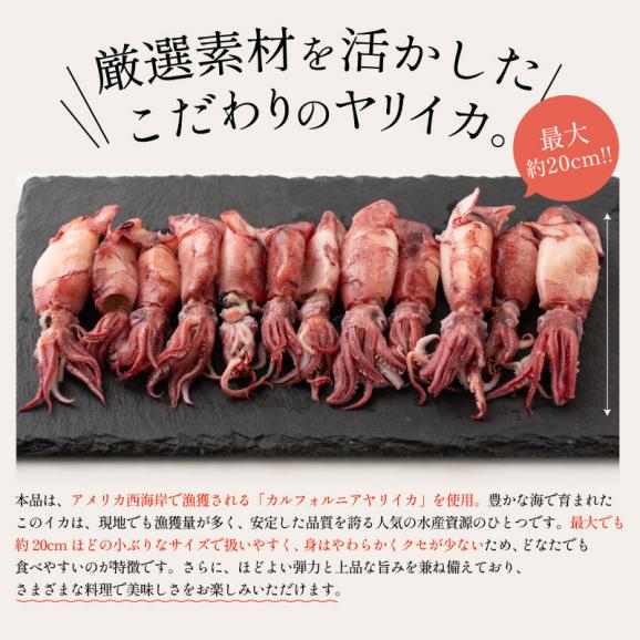 ボイル ヤリイカ 大容量 500g03