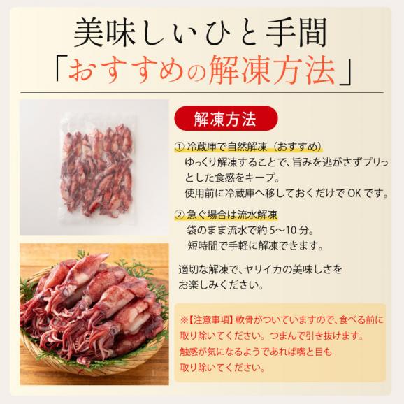 ボイル ヤリイカ 大容量 500g06