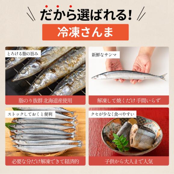 【無添加 無塩】 北海道産 秋刀魚04
