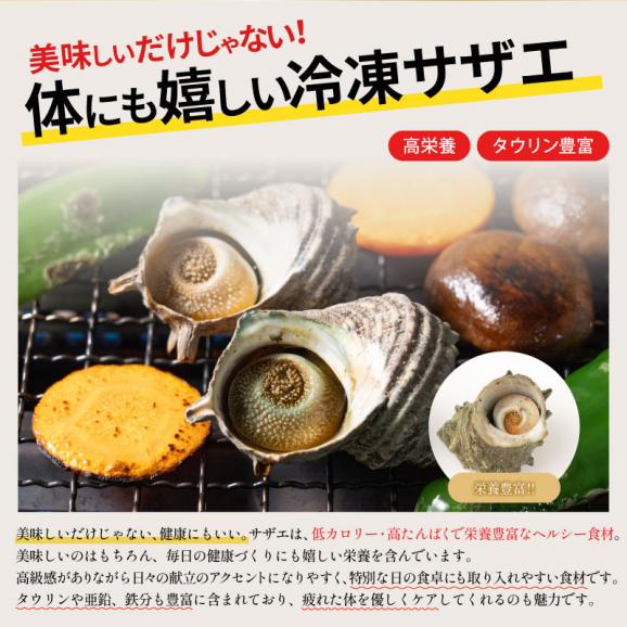 生サザエ（加熱用）サザエ さざえ ボイルと生が選べる 約1kg ボイル 生（加熱用） BBQ 天然 栄螺 ボイルサザエ 国産 贈答 貝 魚介 グルメ 贈り物 健康 子供 ギフト プレゼント03