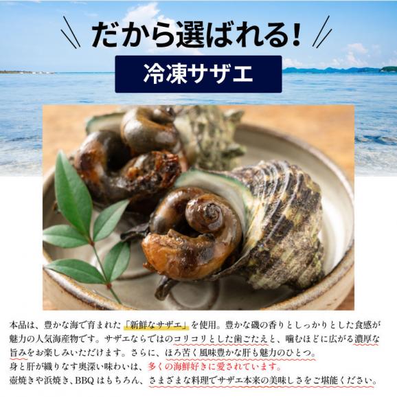 生サザエ（加熱用）サザエ さざえ ボイルと生が選べる 約1kg ボイル 生（加熱用） BBQ 天然 栄螺 ボイルサザエ 国産 贈答 貝 魚介 グルメ 贈り物 健康 子供 ギフト プレゼント04