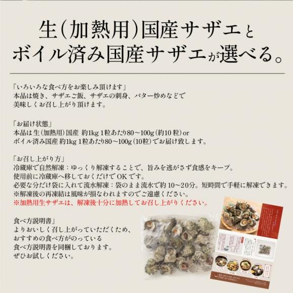 生サザエ（加熱用）サザエ さざえ ボイルと生が選べる 約1kg ボイル 生（加熱用） BBQ 天然 栄螺 ボイルサザエ 国産 贈答 貝 魚介 グルメ 贈り物 健康 子供 ギフト プレゼント06