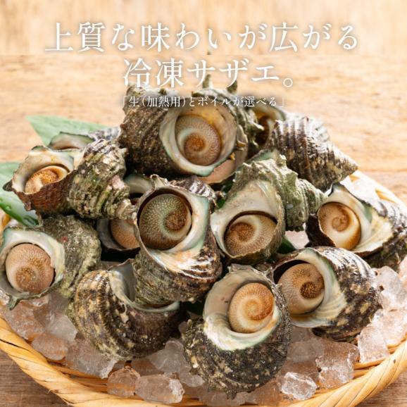（ボイル済み）サザエサザエ さざえ ボイルと生が選べる 約1kg ボイル 生（加熱用） BBQ 天然 栄螺 ボイルサザエ 国産 贈答 貝 魚介 グルメ 贈り物 健康 子供 ギフト プレゼント02