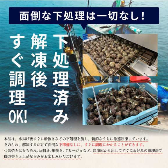 （ボイル済み）サザエサザエ さざえ ボイルと生が選べる 約1kg ボイル 生（加熱用） BBQ 天然 栄螺 ボイルサザエ 国産 贈答 貝 魚介 グルメ 贈り物 健康 子供 ギフト プレゼント05