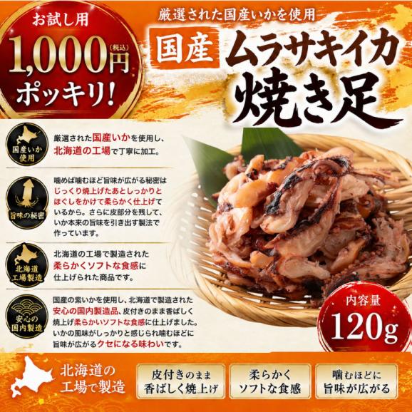 国産 イカ 皮付き焼き足 イカ足 ゲソ 種類が選べる120g 送料無料1,000円ポッキリ 紫イカ ムラサキイカ 焼きいか 北海道加工 焼き足 珍味 イカ おつまみ グルメ 食べ物 つまみ 06