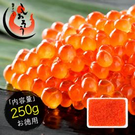 イクラ イクラ醤油漬け 紅鮭いくら 250g