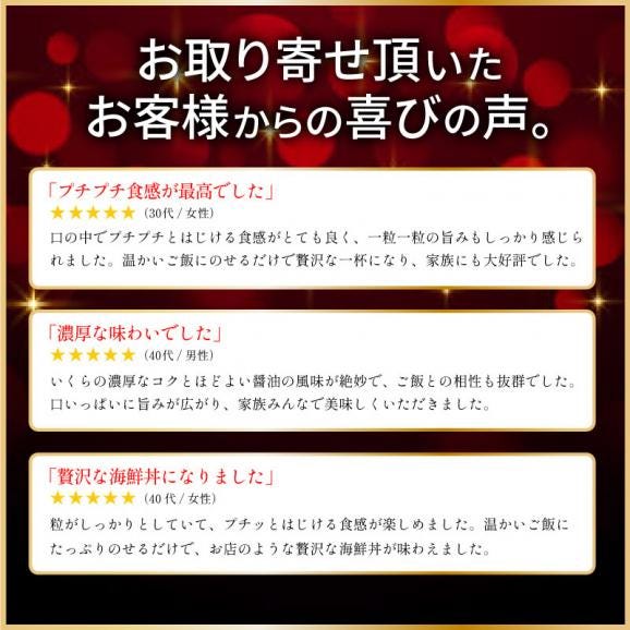 イクラ イクラ醤油漬け 紅鮭いくら 250g03