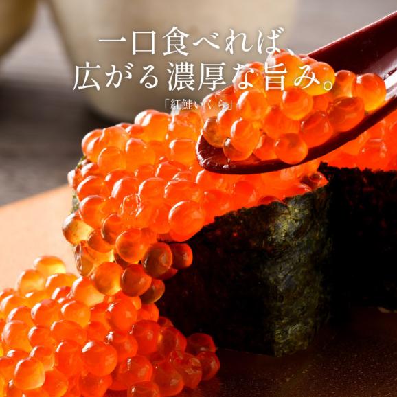 イクラ イクラ醤油漬け 紅鮭いくら 500g02