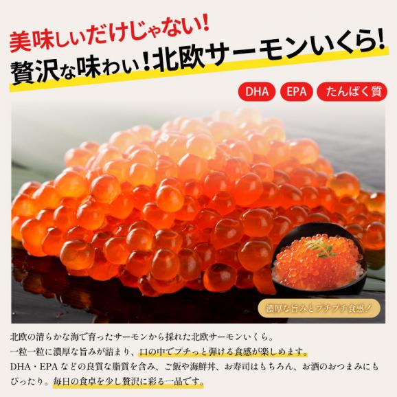 イクラ イクラ醤油漬け 北欧いくら 500g05