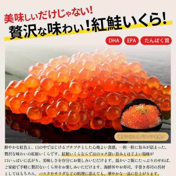 イクラ イクラ醤油漬け 北欧いくら 250g05