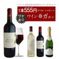 訳ありワインガチャ 555円［常温/冷蔵可］【4～5営業日以内に出荷】[W]