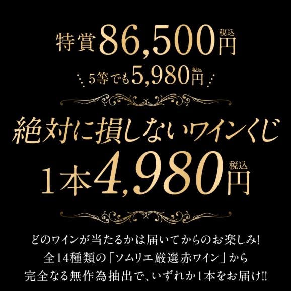 ［高級ワイン限定］5大シャトー シャトー ラトゥール オーパスワンが当たるかも！？赤ワインくじ 限定100本！！【1～2営業日以内に出荷】[W]02