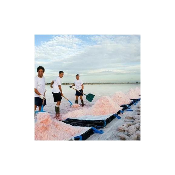 カマルグ フルール・ド・セル&times;125g［常温/全温度帯可]【3～4営業日以内に出荷】02