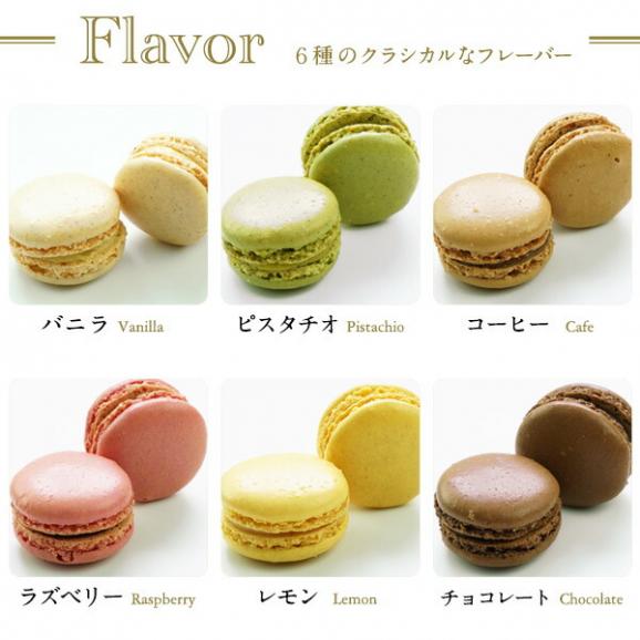 ケーキ屋さんやカフェと同じ味わいをご家庭で！ BRIOCHE PASQUIER［ブリオッシュ パスキエ］パスキエ マカロンコレクション（6種各2個）［冷凍のみ］ 【3〜4営業日以内に出荷】04