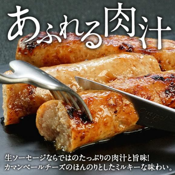 デリスドゥクロベール フランス産 シポラタ カマンベール 500g（カマンベールチーズ入粗挽き生ソーセージ）［冷凍］【3～4営業日以内に出荷】12個まで1配送でお届け04