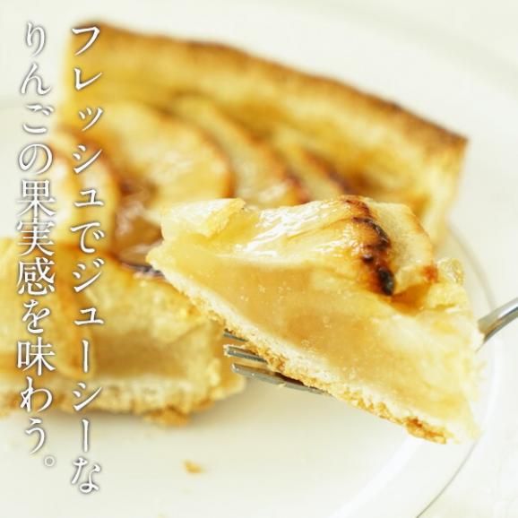 ケーキ屋さんやカフェと同じ味わいをご家庭で！ BRIOCHE PASQUIER［ブリオッシュ パスキエ］タルト・オ・ポム ホール［750g/10カット］【3～4営業日以内に出荷】［冷凍］02