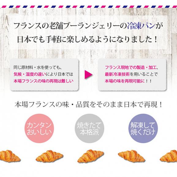 フランス産テーブルパン24個セット ル・フルニル・ドゥ・ピエール［LE FOURNIL DE PIERRE］プレーンロール 40g×24個（12個×2P）［冷凍］【4～5営業日以内に出荷】【送料無料】04
