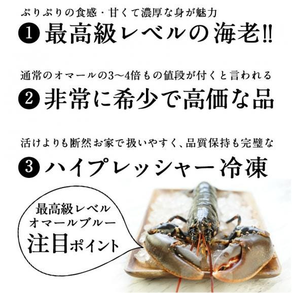 サンクデオー 冷凍オマールブルー テール・ツメむき身 約150g【3～4営業日以内に出荷】03