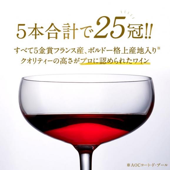 合計25冠 すべて5金賞  ボルドー 格上産地入り フランス産 赤ワイン 5本セット［常温］【1～2営業日以内に出荷】【送料無料】[W]02