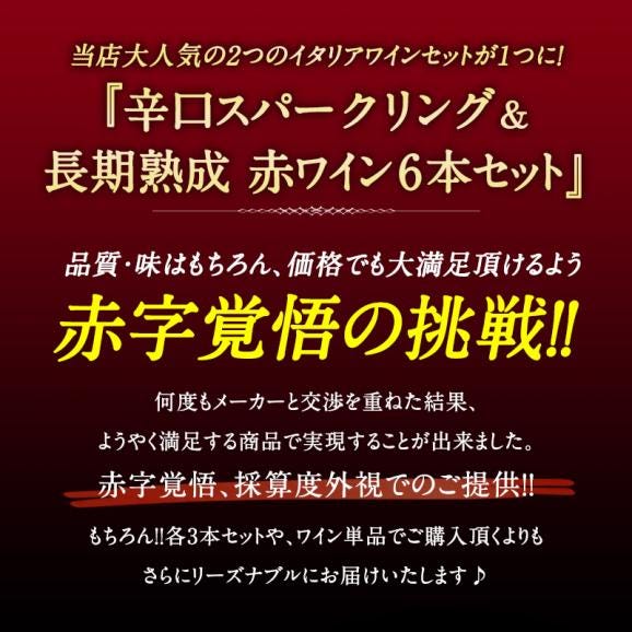 【送料無料】イタリア産 金賞入り 辛口スパークリング ＆ 長期熟成 赤ワイン 6本セット［常温］【3～4営業日以内に出荷】[W]02