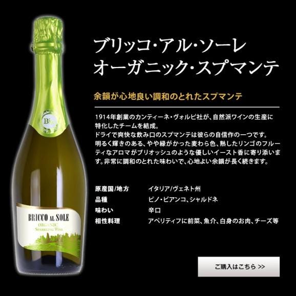 【送料無料】イタリア産 金賞入り 辛口スパークリング ＆ 長期熟成 赤ワイン 6本セット［常温］【3～4営業日以内に出荷】[W]05