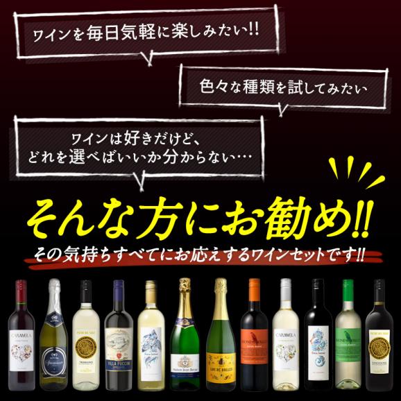 金賞 フランス産 スパークリング入り 赤白泡 MIX 12本セット 赤ワイン 白ワイン スパークリングワイン [W]【送料無料】【4～5営業日以内に出荷】03