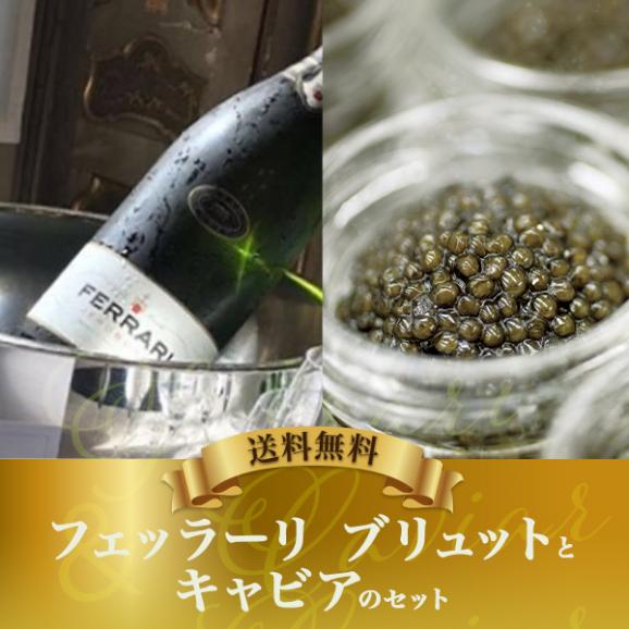 フェッラーリ ブリュット とフランス産キャビア10gセット [W]【4～5営業日以内に出荷】【送料無料】02