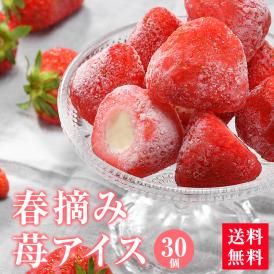 いちご/苺/イチゴ/アイス/冷凍フルーツ/送料無料<br>