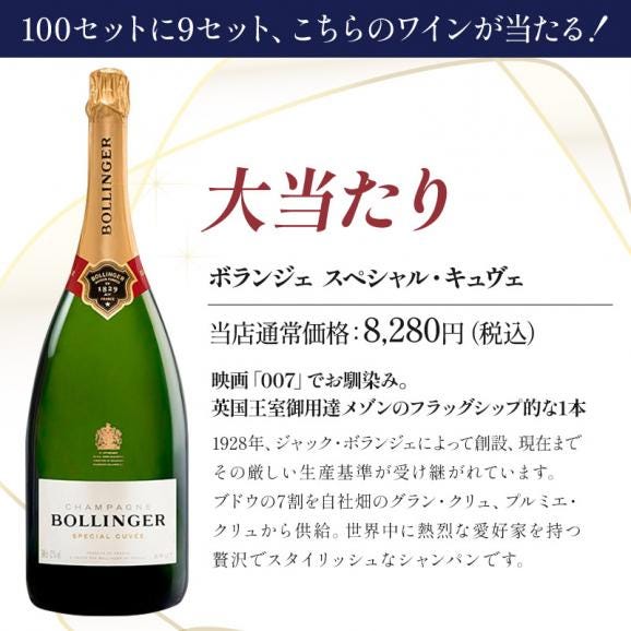 ［100セット限定］アルマンドが当たるかも！？アウトレットワイン12本 福袋 【送料無料】 ワインくじ ワイン福袋［基本常温/冷蔵も可］【1～2営業日以内に出荷】[W]04