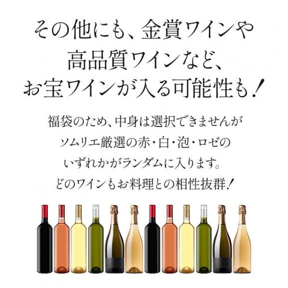 ［100セット限定］アルマンドが当たるかも！？アウトレットワイン12本 福袋 【送料無料】 ワインくじ ワイン福袋［基本常温/冷蔵も可］【1～2営業日以内に出荷】[W]06