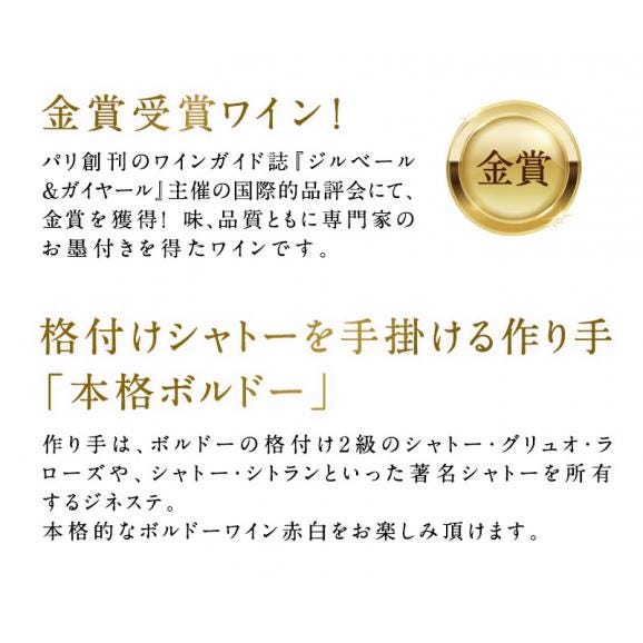 ワインギフト 金賞 ボルドーワイン 紅白 2本 ギフトセット  赤ワイン 白ワイン   <br>［常温］【3～4営業日以内に出荷】【送料無料】[W]  [WT51] ワインセット 母の日ギフト 贈答用02