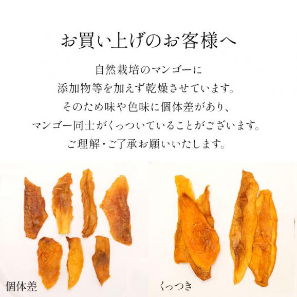オーガニック マンゴー 100g ドライフルーツ 有機JAS セレラル オリジナル［メール便］【送料無料】【3～4営業日以内に出荷】05