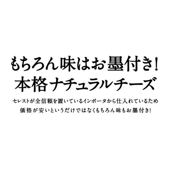 アメリカ産 ミックスシュレッドチーズ1kg（おまかせ配合）［基本冷蔵/冷凍も可］【1～2営業日以内に出荷】05