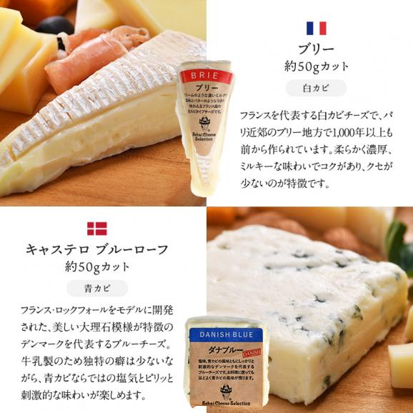 世界8か国10種のチーズ アソート 約50g×10種セット［冷蔵のみ］【3～4営業日以内に出荷】【送料無料】02