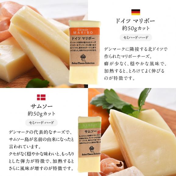 世界8か国10種のチーズ アソート 約50g×10種セット［冷蔵のみ］【3～4営業日以内に出荷】【送料無料】03