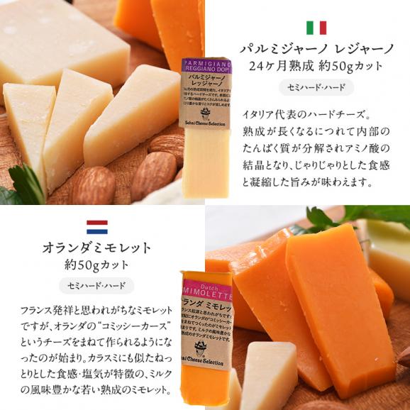 世界8か国10種のチーズ アソート 約50g×10種セット［冷蔵のみ］【3～4営業日以内に出荷】【送料無料】04